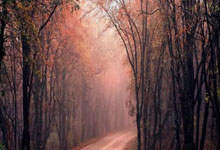 提前来日备战，巴林主帅：东京很冷，但会带着荣耀为取胜而战.