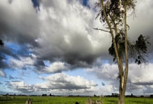 罗德里戈：姆巴佩是个好人，我不知道他和内马尔是否存在问题.