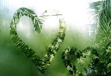 [NBA]蒙克反击妙传 埃利斯起飞空接炸扣.