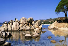 开云体育:CBA收官战杀红眼?辽篮苦主球迷输急了撒钱泄愤:裁判也跟着急了.